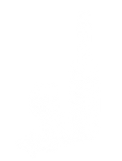 Untitled design (35).png