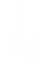 Untitled design (35).png